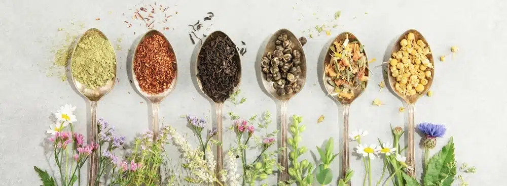 An array of spoons holding loose leaf tea