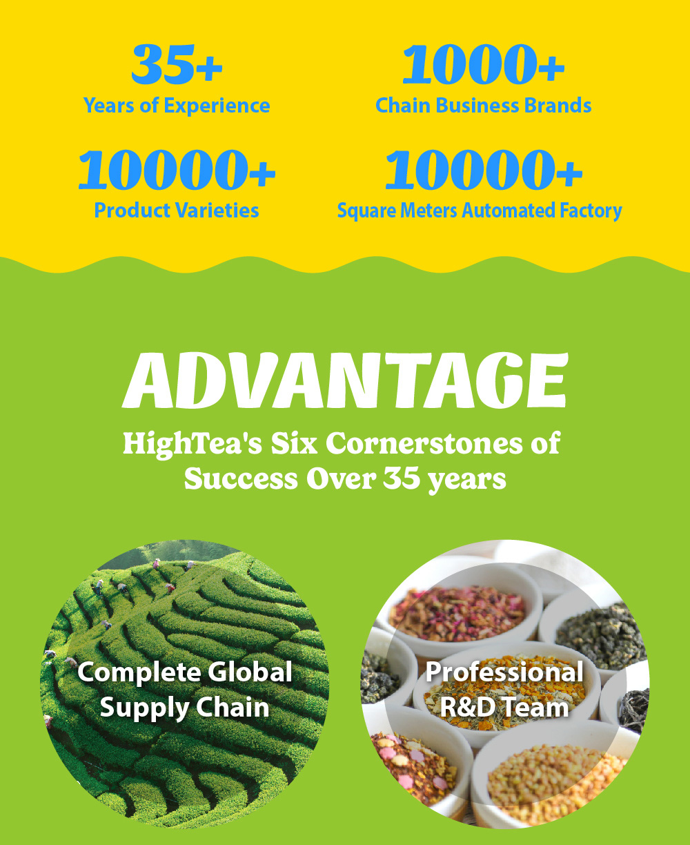 35+ Years of Experience 1000+ Chain Business Brands 10000+ Product Varieties 10000+ Square Meters Automated Factory ADVANTAGE HighTea's Six Cornerstones of Success Over 35 years