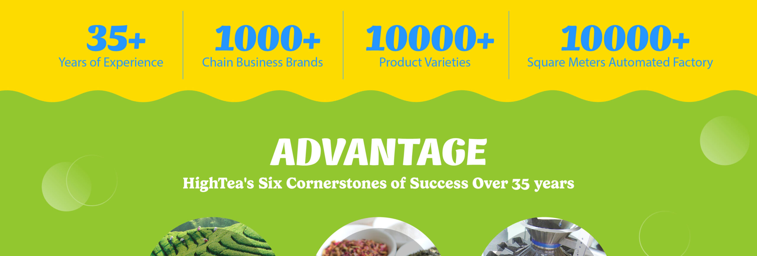 35+ Years of Experience 1000+ Chain Business Brands 10000+ Product Varieties 10000+ Square Meters Automated Factory ADVANTAGE HighTea's Six Cornerstones of Success Over 35 years