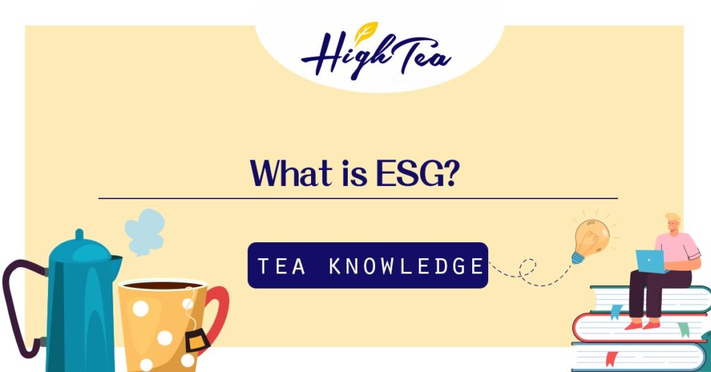 Read more about the article What is ESG? A Key Indicator for Enterprises Moving Towards Sustainable Operations
